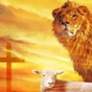 Meet your Posher, Ariel